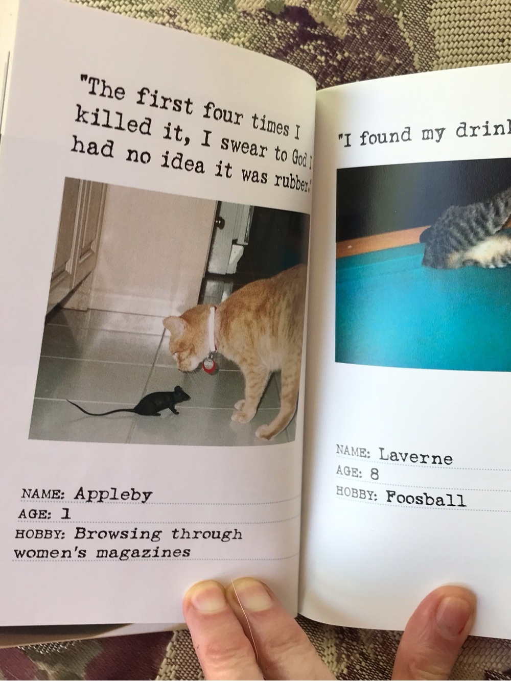 Bad Cat Book - Picture 10 of 10